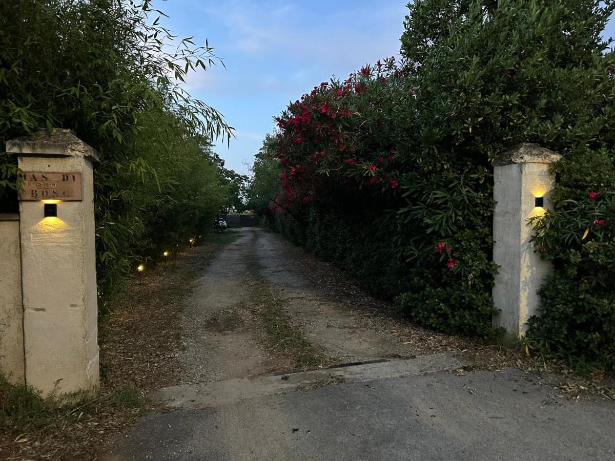Le Mas Du Bosc Lejlighed Mauguio Eksteriør billede