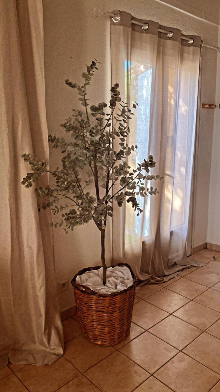 Le Mas Du Bosc Lejlighed Mauguio Eksteriør billede